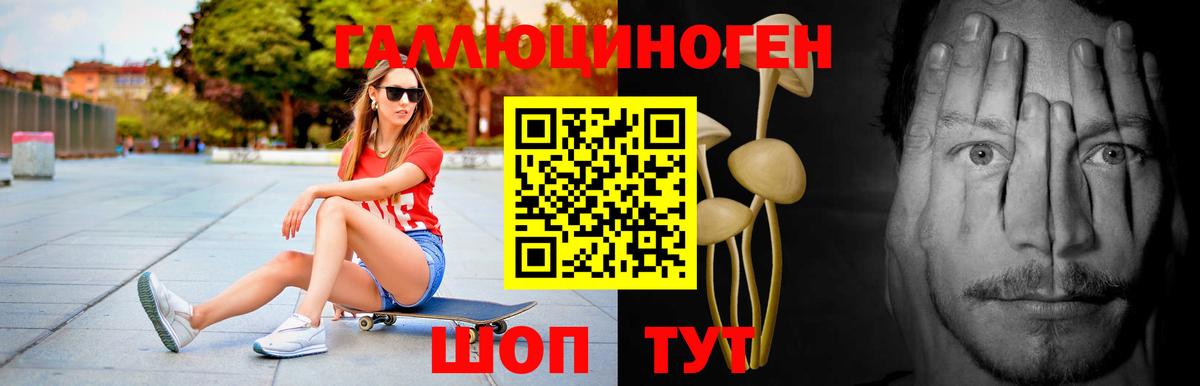 купить наркоту  Вход с VPN  Кохма  Псилоцибиновые грибы мицелий 