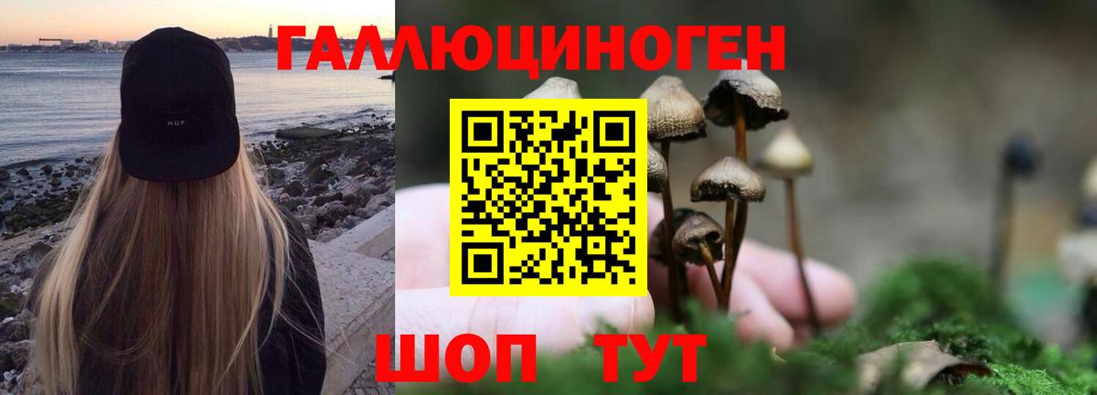 Псилоцибиновые грибы MAGIC MUSHROOMS Кохма